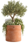 Preview: Pot Cylindrique Moderne en Terre Cuite d’Impruneta